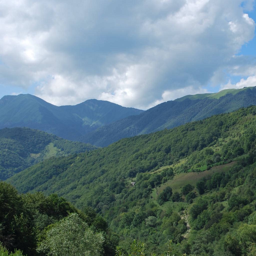ამირან ზურაბაშვილი