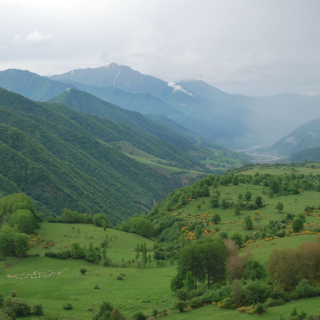 ლიზა ქარჩაიძე