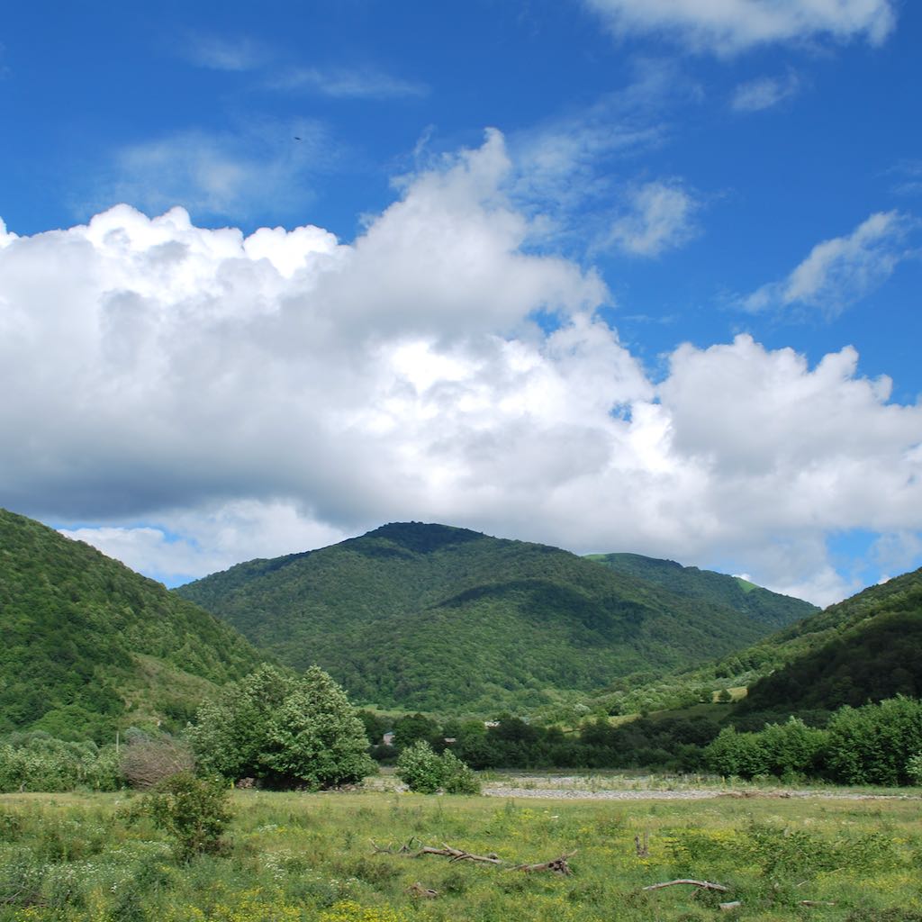ლეილა ლაჩიშვილი