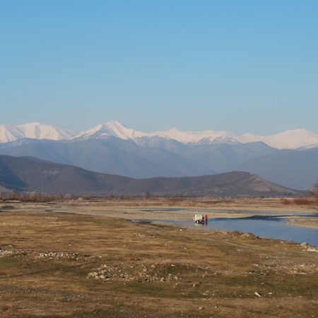 ნინო არინდაული