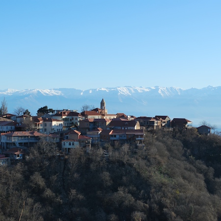 თამუნა ბერიძე